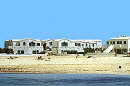 Cotillo Lagos