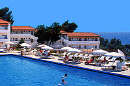 Blue Dolphin Sargani