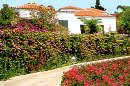 Bungalows Los Naranjos