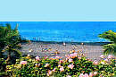 App. Delfin Playa
