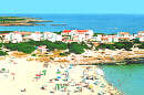 Aleda Cala�n Bosch