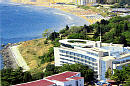 Marina Palace