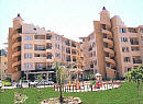 Kleopatra Royal Palm 