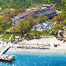Amara Wing Kemer