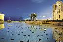 Amwaj Rotana Resort