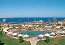 Shores Amphoras