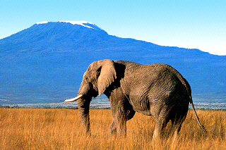 Kenia